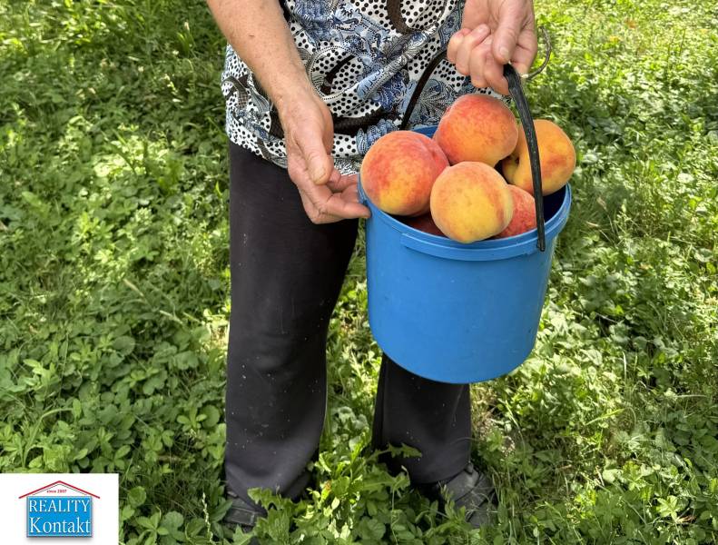 Eladó kiváló kert 1640 m2 +ház - nyaraló - Pačérok Kolárovo