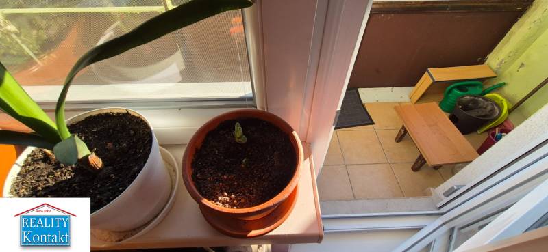 Kiadó 1 szobás lakás, 1 szobás lakás, Lastovičia, Nové Zámky, Szlováki